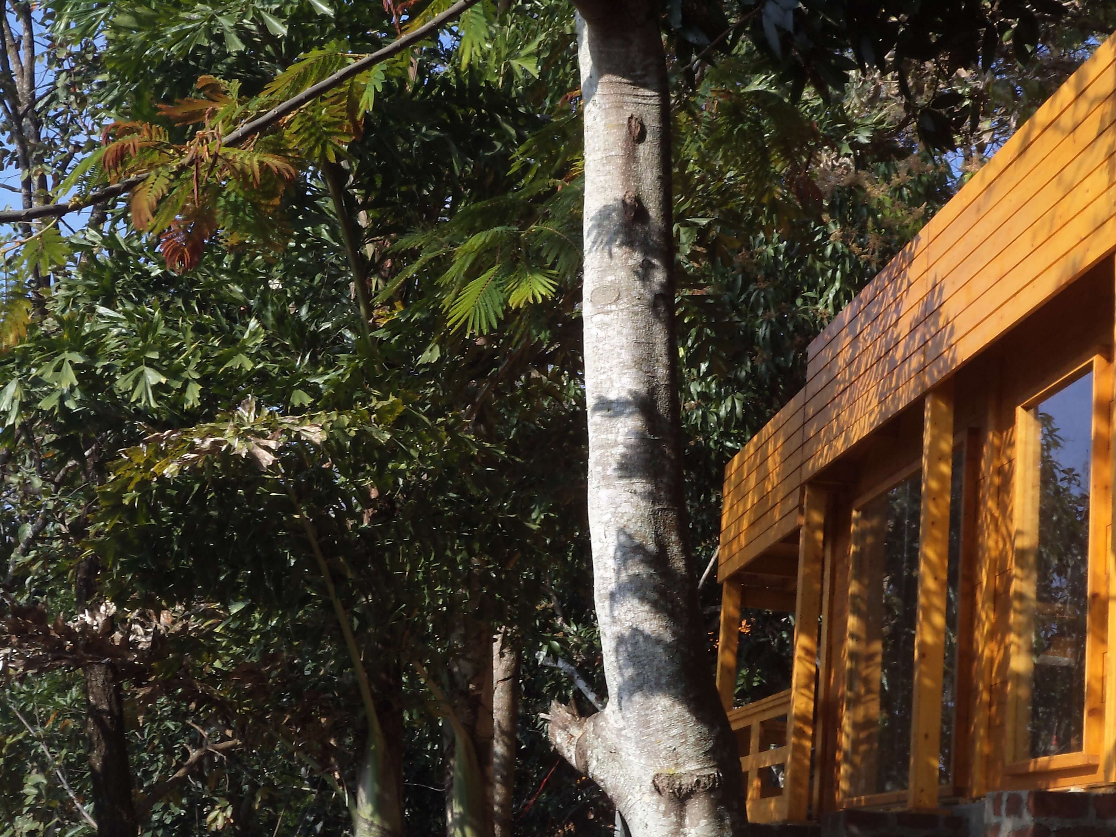wooden cottages